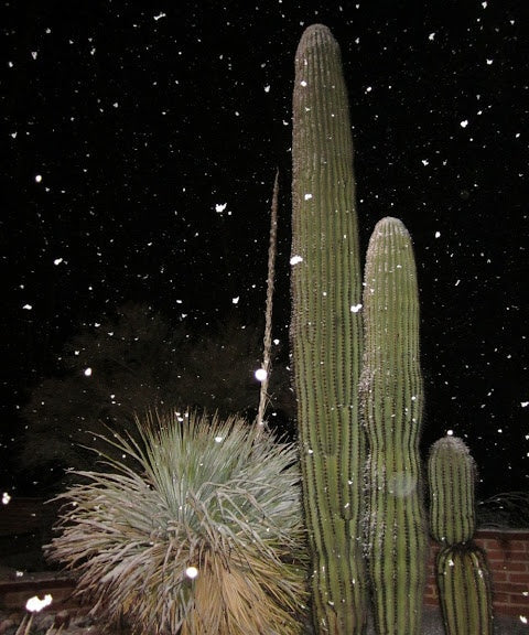 760 Holiday Hydration Guide