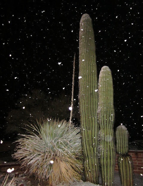 760 Holiday Hydration Guide