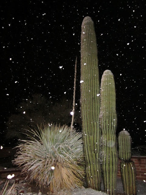 760 Holiday Hydration Guide