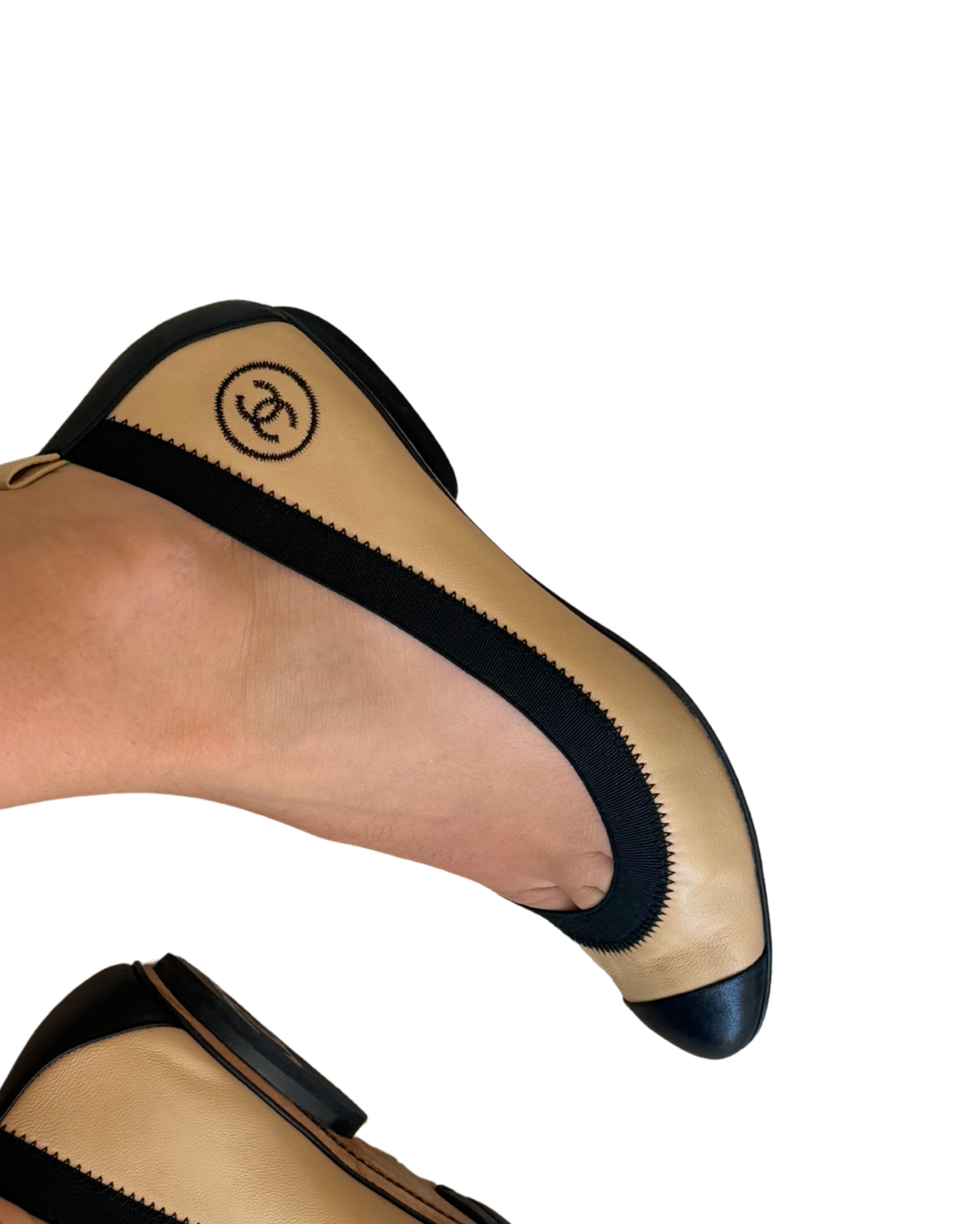 2_77df1233-5e6f-45c1-9f6c-7548c96cf9dc.png