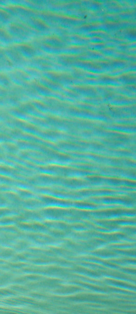 Screenshot_2025-07-15_at_2.05.10_PM.png